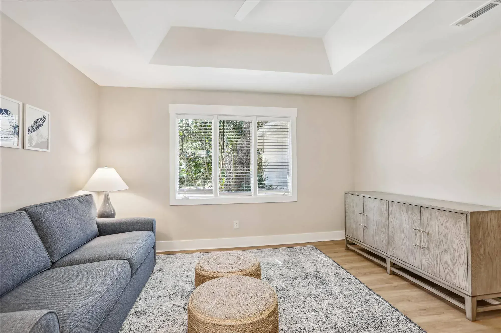 A living room with a tray ceiling features a gray sofa, woven ottomans on a patterned area rug, a wood-paneled sideboard, and a large window with blinds overlooking trees.